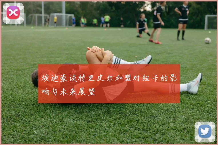 埃迪豪谈特里皮尔加盟对纽卡的影响与未来展望