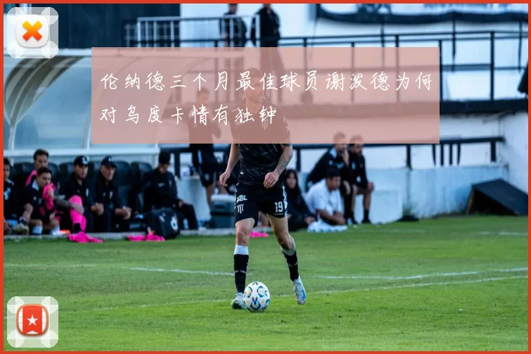 伦纳德三个月最佳球员谢泼德为何对乌度卡情有独钟